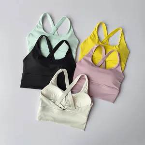 All-in-one Sports Bra Collection Breast High-intensity Professional Shock-proof Huddle Running Bra Yoga Fitness Bra